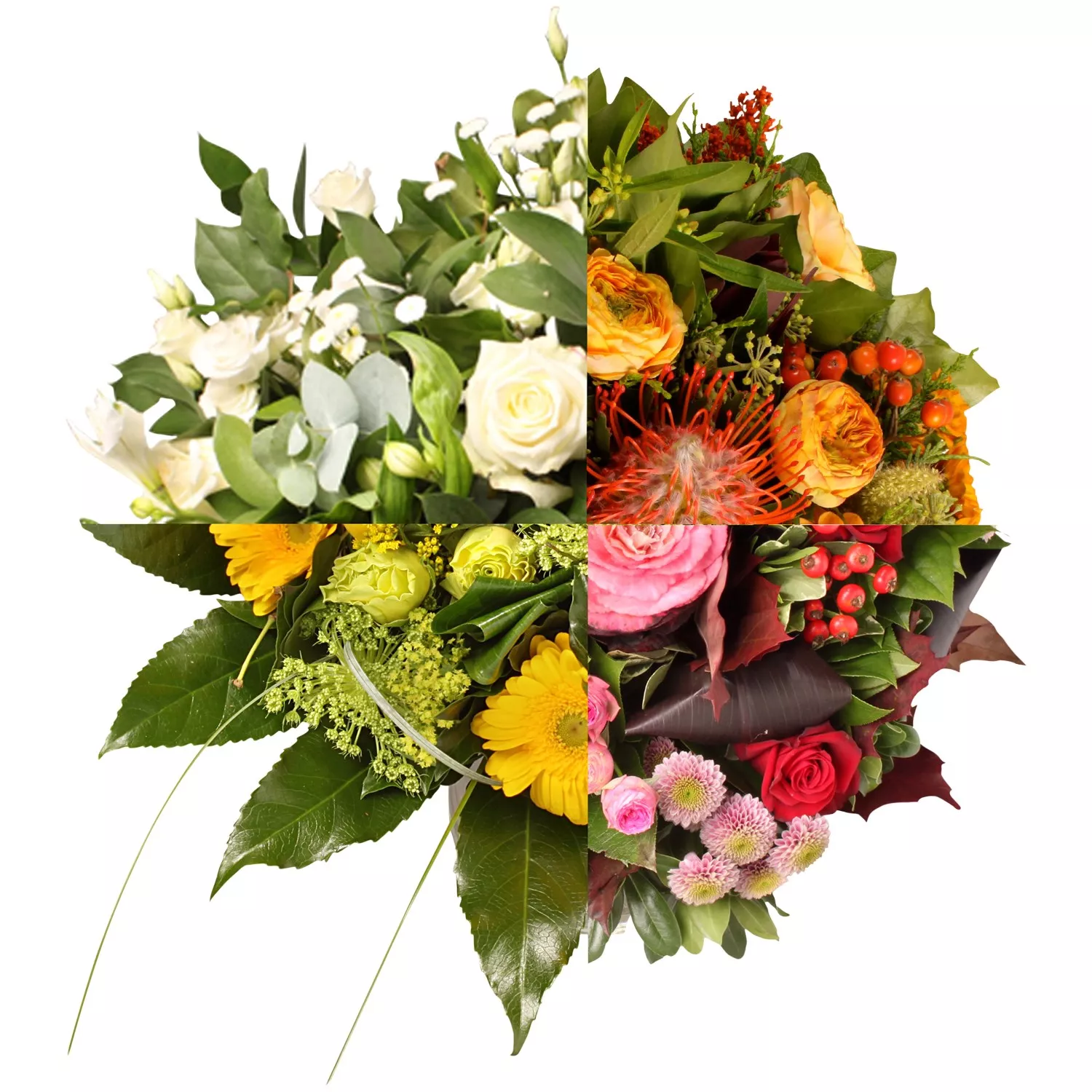 Blumenversand nach Belgien Versenden