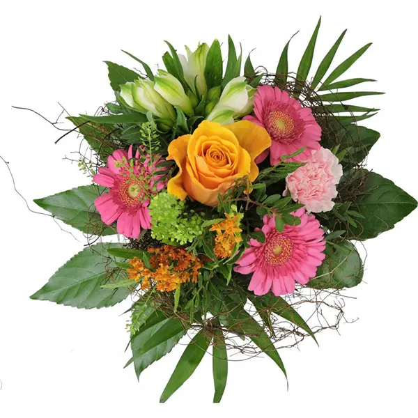 FloraPrima